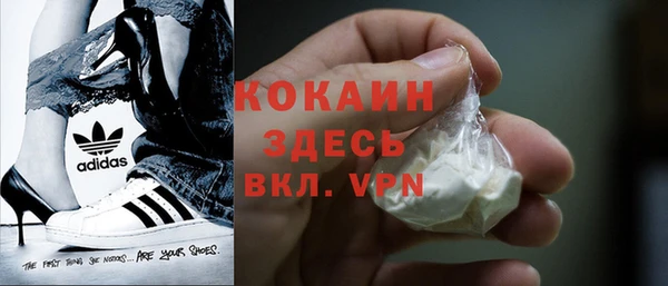 хмурый Верея