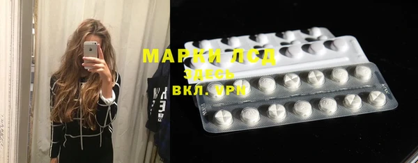 хмурый Верея