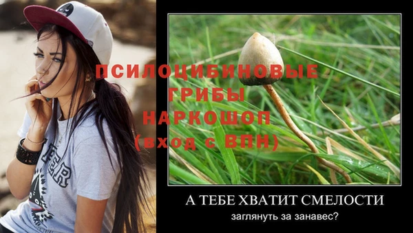 стафф Верхнеуральск