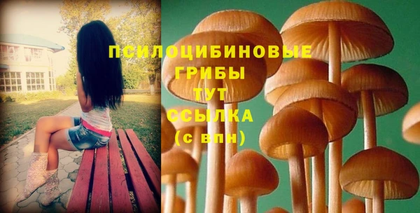 амф Верхний Тагил