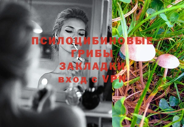 хмурый Верея