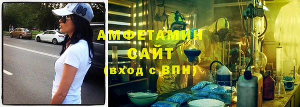 амф Верхний Тагил