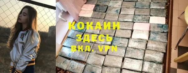 хмурый Верея