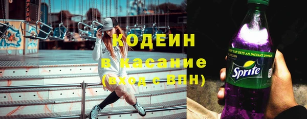 амф Верхний Тагил