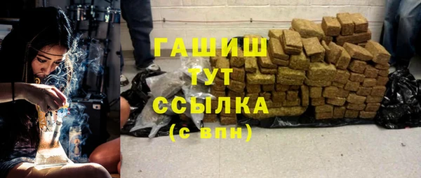 амф Верхний Тагил