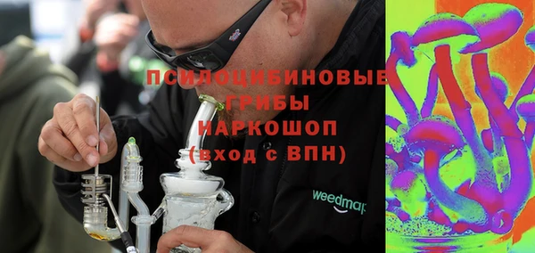 хмурый Верея