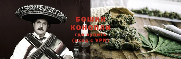 амф Верхний Тагил