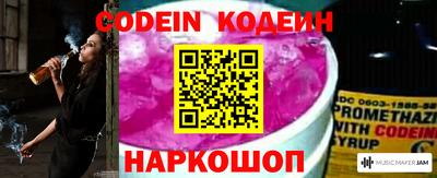 молекула духа Волжский