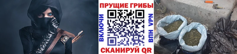 Галлюциногенные грибы мицелий  Дербент 
