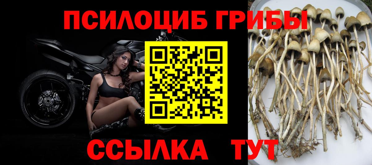 Псилоцибиновые грибы Magic Shrooms  Вход с VPN  Дербент 